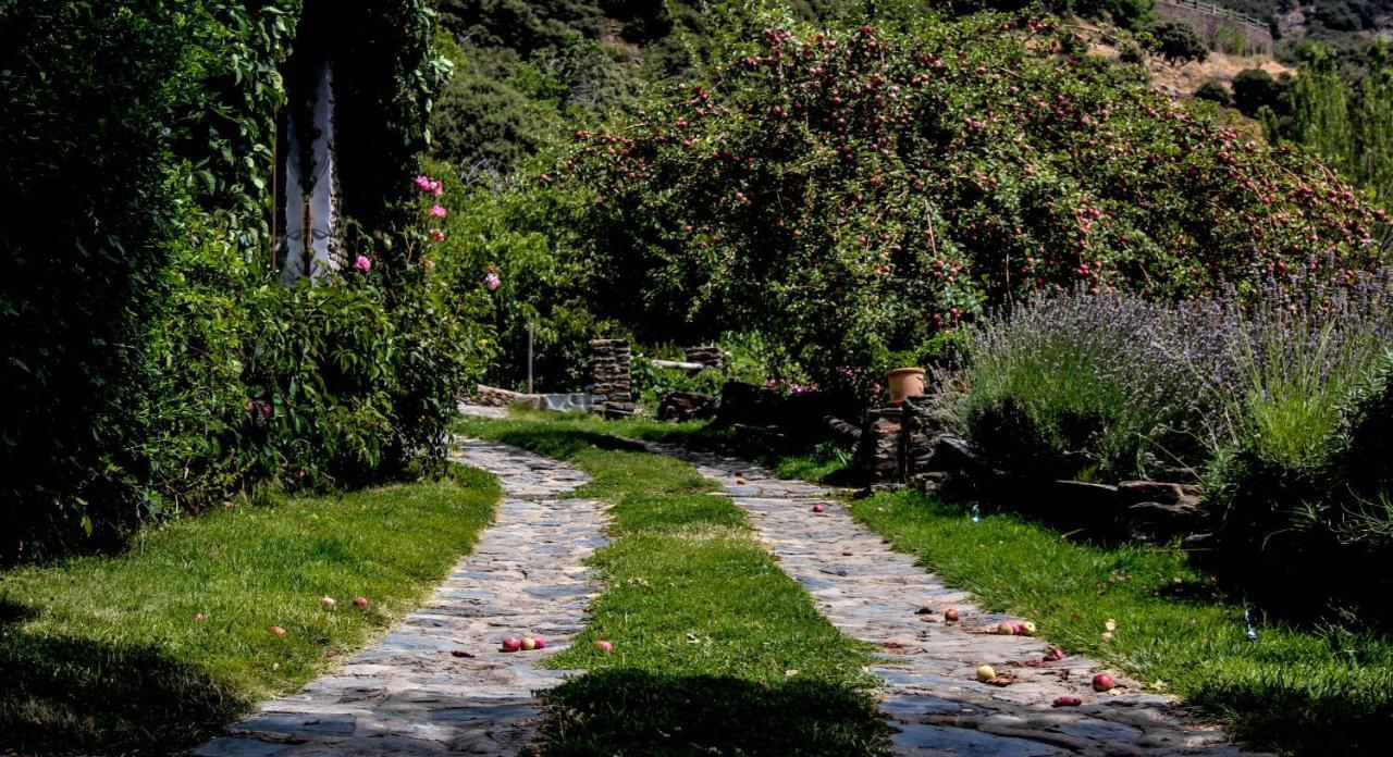 Casa Rural Catifalarga Alpujarra Capileira Buitenkant foto